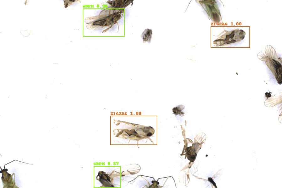Image 10